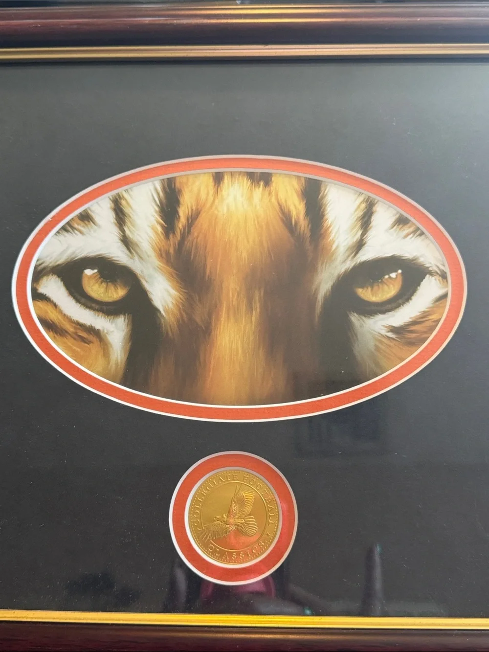 Auburn Tigers Tiger Eyes Framed Wall Art - Brown and Gold Accent 13 x 15